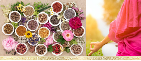 #1 De basisprincipes van Maharishi Ayurveda