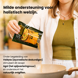 Khichdi met gele linzen en verschillende soorten gierst