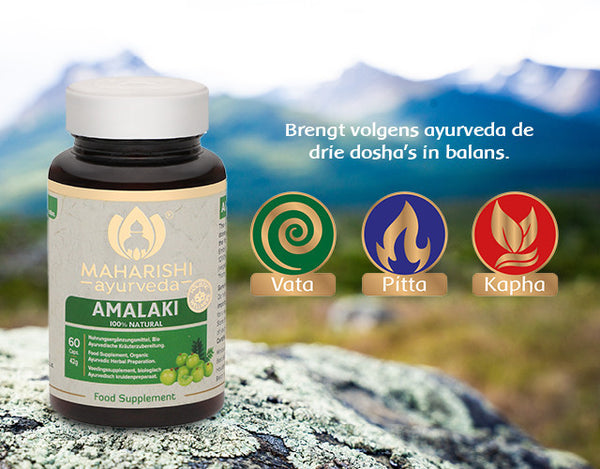 AMALAKI (Bio)