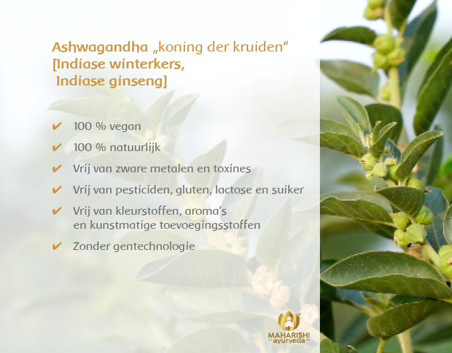 ASHWAGANDHA NATURAL