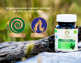 Moringa Bio