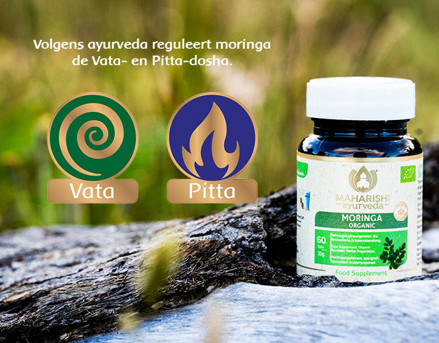 Moringa Bio
