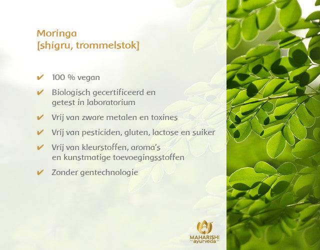 Moringa Bio
