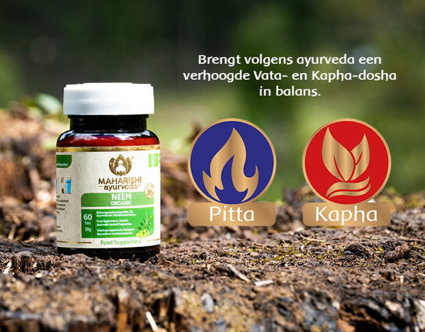 NEEM Bio